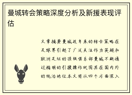 曼城转会策略深度分析及新援表现评估