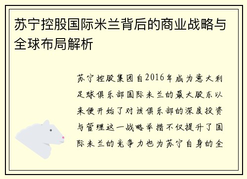 苏宁控股国际米兰背后的商业战略与全球布局解析 苏宁控股国际米兰背后的商业战略与全球布局解析